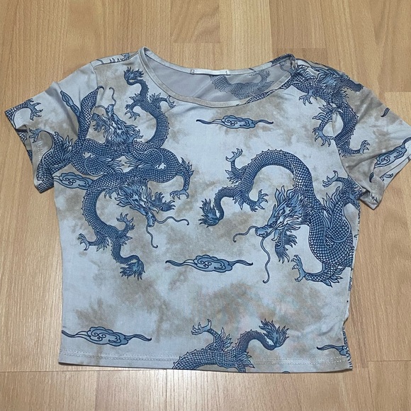 Tops - Dragon crop top